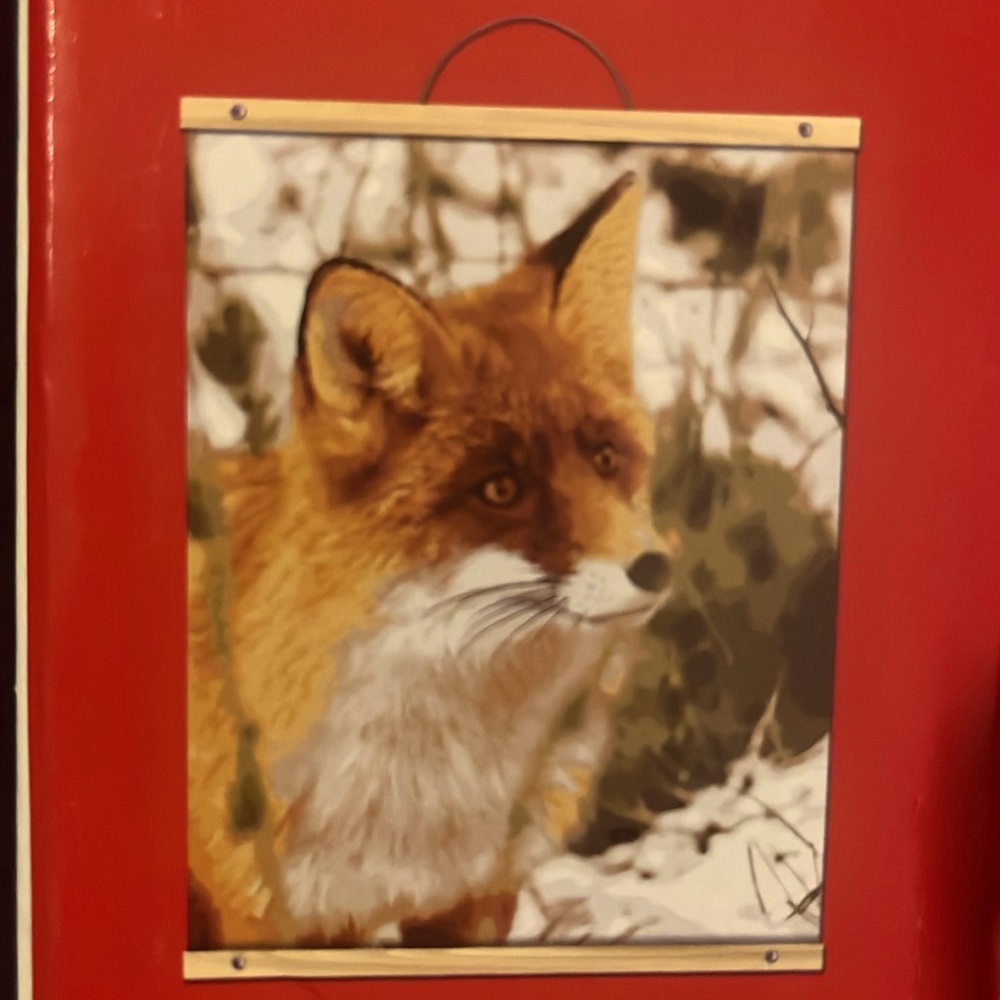 🦊Fox Paint by Number Kit